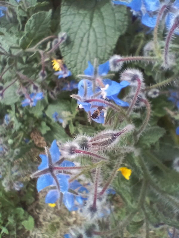 No s'ha trobat l'arxiu